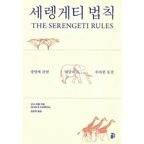 세렝게티 법칙