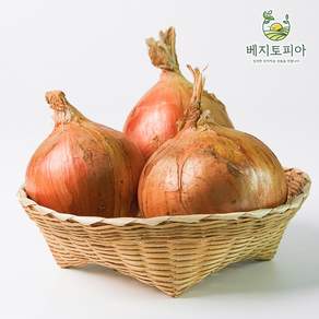 베지토피아 수입 자이언트 양파 업소용 식자재용 중국산 3kg 5kg 10kg