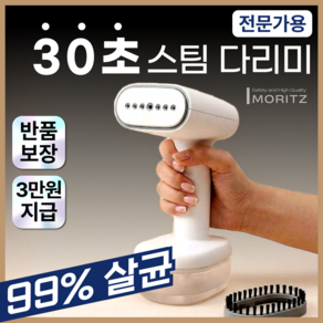 모리츠 핸디형 스팀다리미