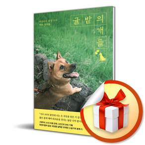 귤밭의 개들 (리노베이트 전용 사 은 품 증 정)