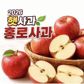 [2026 햇사과] 아삭달콤 홍로사과 가정용