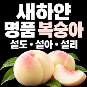 고급 설도 복숭아 설아복숭아 1kg 하얀 설리 복숭아