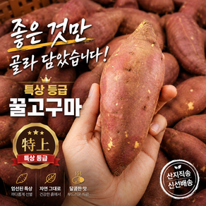[당도선별 해남직송]달콤촉촉 특상 꿀고구마 신선 햇고구마