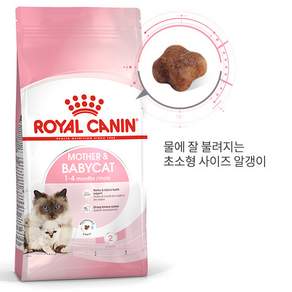 로얄캐닌 마더 앤 베이비 캣 건식사료