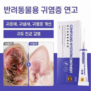 강아지 귀염증약 고양이귀염증 강아지귓병 고양이귀진드기 강아지귀진드기 귀염증 관리