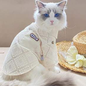 PET 강아지 고양이 레이스 셔츠 여름 선스크린 통기성 반려동물의류 고양이용품 pnl44131tt