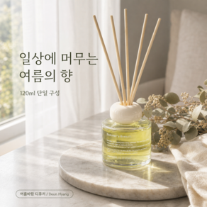 든향 퍼퓸 디퓨저 초여름 실바람 차량용 가정용 방향제 120ml