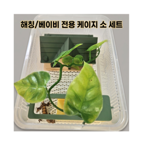 무브온 크레 사육장 이중 매트 소형 세트 두렙 은신