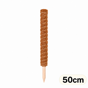 가든잇 우드 코코봉 수태봉 몬스테라 넝쿨 식물지지대 50cm
