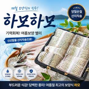 산지푸드 여수 직송 하모하모 샤브샤브용 초신선 쫄깃+달큰 미쳤다!