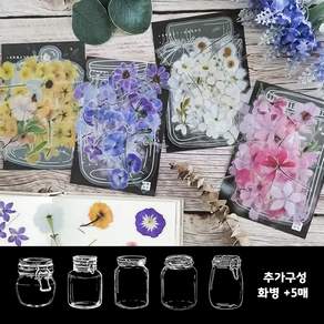 다꾸스티커 꽃잎 꽃 압화 스티커 다이어리 꾸미기