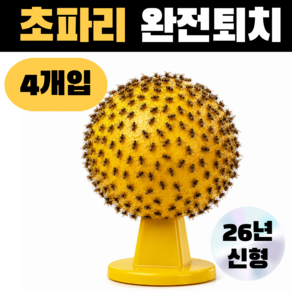 조온하루 초파리 트랩 끈끈이 날파리 나방파리 퇴치