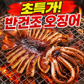 [마지막 초특가] 국내산 반건조 오징어 특대 버터구이 산지 직송