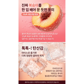 콤부차 피치