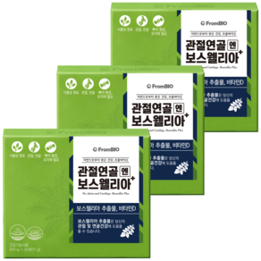 프롬바이오 관절연골엔 보스웰리아 플러스, 60정, 3개