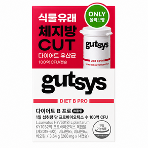 것시스 다이어트 B 프로