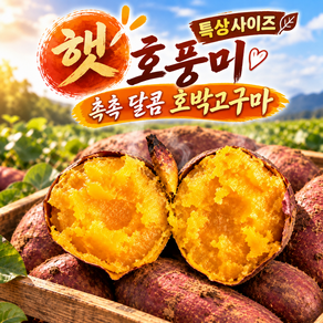 [시즌특가] 국내산 햇 호박고구마 고당도 꿀 고구마
