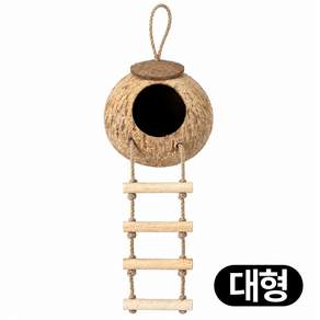 디심플 코코넛 파충류 크레스티드 게코 도마뱀 은신처