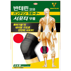 best ) 무릎보호대 - 반테린코와 서포터 양쪽