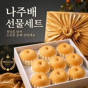 [산지담] 나주배 신고배 고당도 과일선물세트