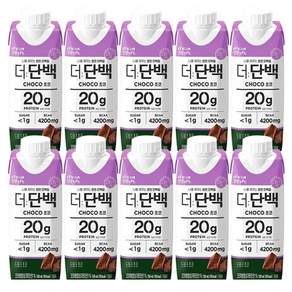 빙그레 더단백 드링크 초코 250ml / 우유단백질 20g 함유 저지방 단백질음료
