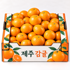 [마지막특가] 하루100박스 최대15brix 제주 감귤