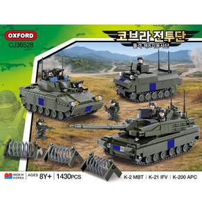 코브라 전투단 돌격 제8기동사단 CJ36528