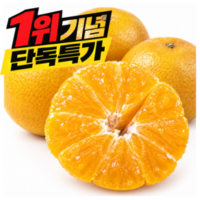[1위특가] 고당도 제주 황금향