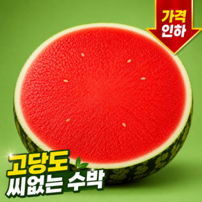 [하루100통한정] 산지직송 고당도 12브릭스 씨없는수박