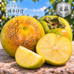 [아삭명작] 배처럼아삭 선별정품 태추단감 농장특가
