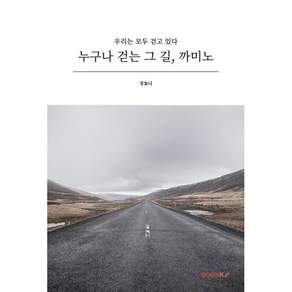누구나 걷는 그 길 까미노
