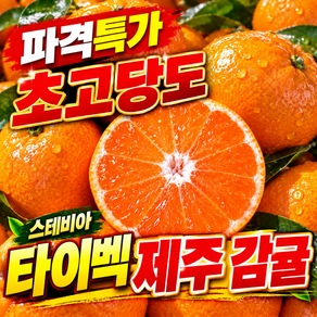 [최대15brix] 스테비아 타이벡 제주 감귤