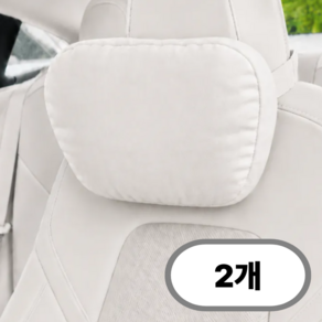팍클리 테슬라 스웨이드 순정핏 모델3 모델Y 차량용 목쿠션