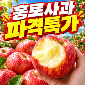 [초고당도] 달콤폭발 국내산 가정용 홍로사과 햇사과