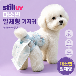 늘봄 노견 대소변일체형 똥기저귀 남아공용 암컷숫컷 강아지 배변패드 고양이