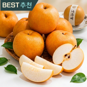 [당도선별] 달콤아삭 나주배 신고배 산지직송