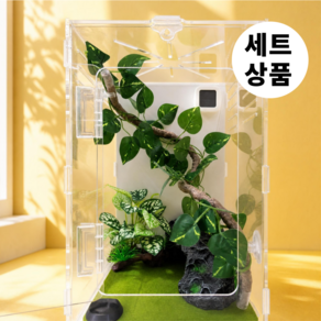 필핏 크레스티드 게코 사육장 도마뱀 파충류 은신처 세트