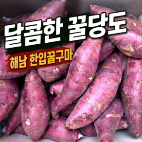 "다담팜" 해남 한입고구마