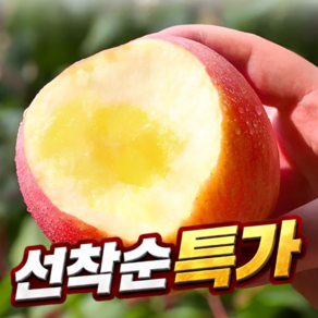 [100박스제철초특가] 국내산 햇 부사사과 재구매율1위