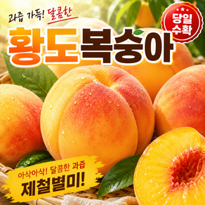 [꿀brix] 산지직송 당도검증 고당도 황도복숭아