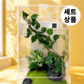 필핏 크레스티드 게코 사육장 도마뱀 파충류 은신처 세트