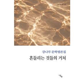 흔들리는 것들의 거처:강나루 문학평론집