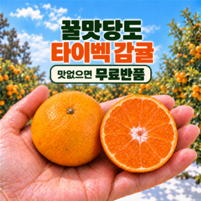 제주 감귤 고당도 귤 산지직송