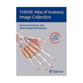THIEME 해부학 아틀라스 이미지 컬렉션일반 및 근골격계 Thieme 시리즈