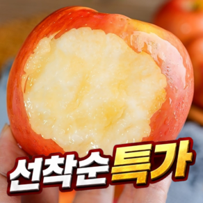 [재구매1위] 국내산 꿀고당도 햇 홍로사과