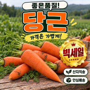 [신나는] 산지직송 흙 햇 국내산 당근 당근채 야채 국산당근 당금