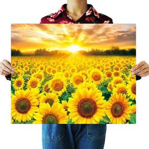 FASEN 액자 보석십자수 캔버스형 DIY 키트 40 x 50 cm