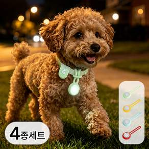 투데이리빙 4개 세트 LED 블링커 강아지 불빛 팬던트 야간 산책 경량 실리콘 고리