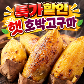 [매일 한정판매] 국내산 해남 햇 호박고구마 고당도