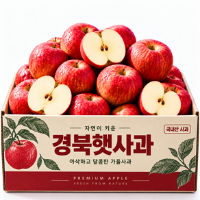 [하루50박스] 15brix 고당도 햇 사과